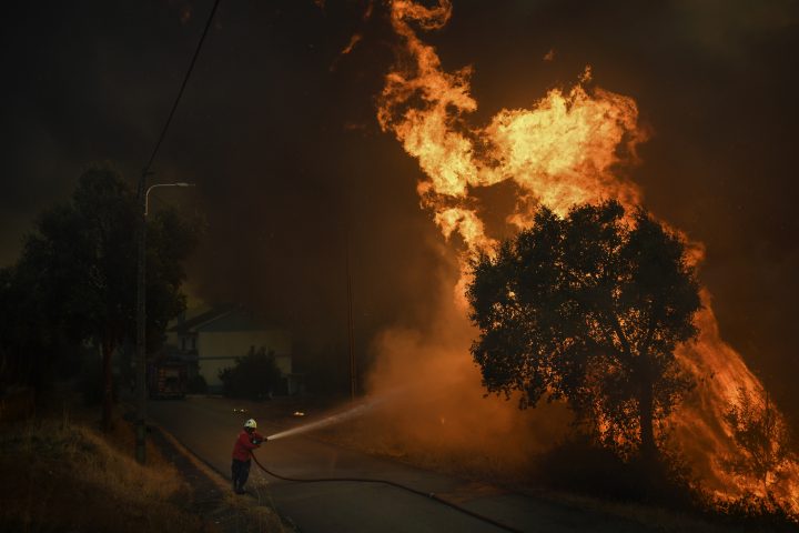 Patricia Melo Moreira-03